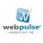 webpulseindia01